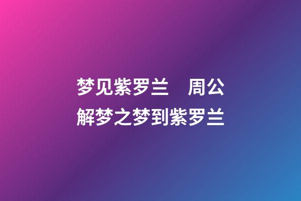 梦见紫罗兰　周公解梦之梦到紫罗兰